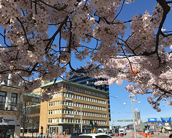 Elof Hansson Fastigheters kontorshus vid Järntorget